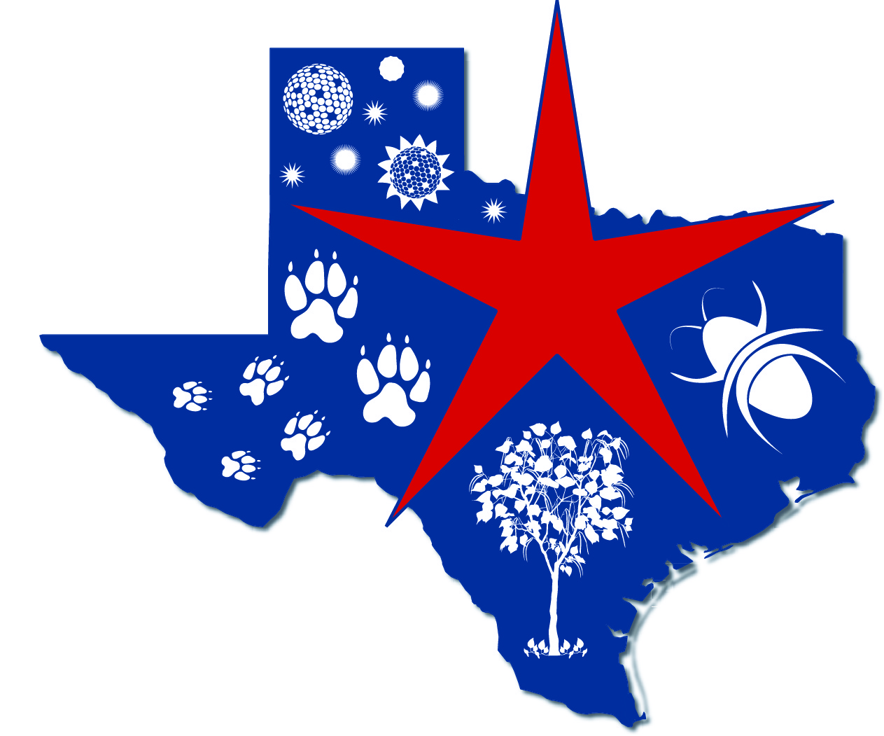 North Texas Allergy and Asthma Associates